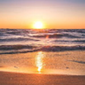 Meet your Posher, Ty